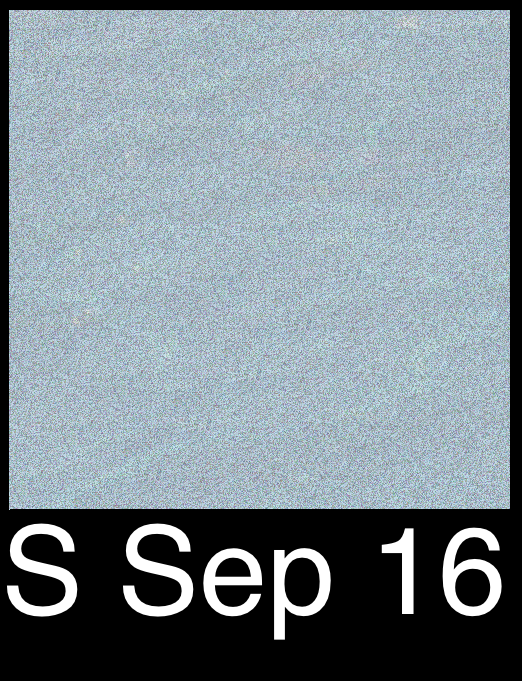 IMG_5568.PNG
