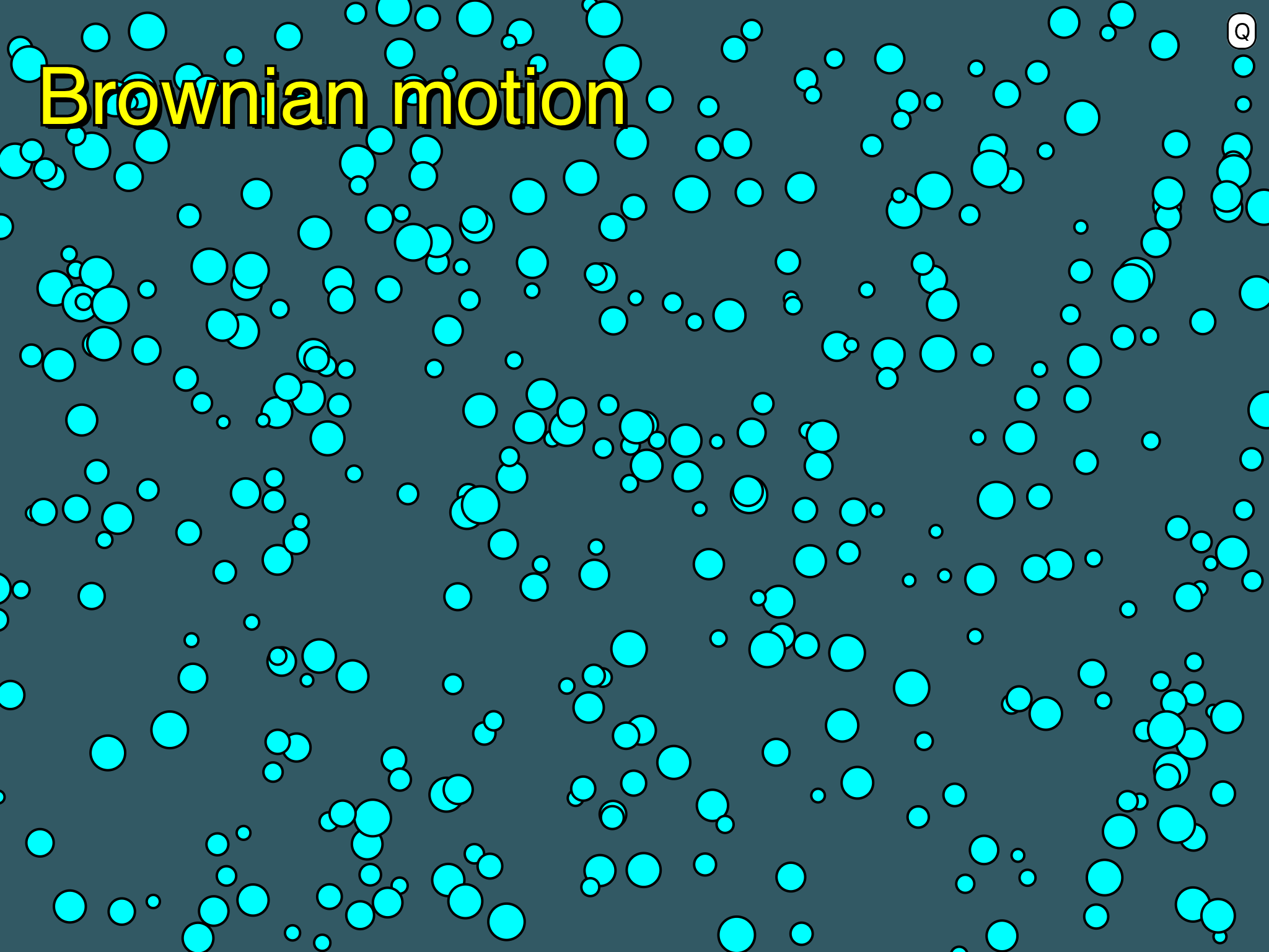 IMG_7814.PNG